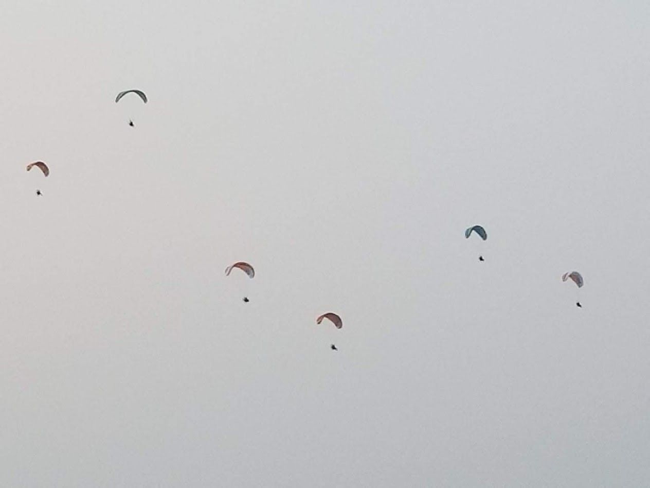 Wine and Baloon festival