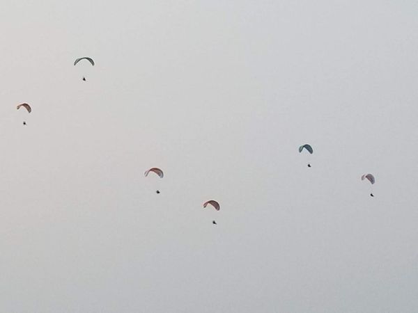 Wine and Baloon festival